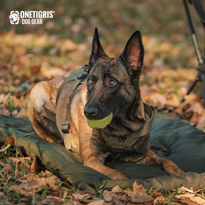 ONETIGRIS Washable Dog Bed Portable Outdoor Pet Mat Anti-Slip S | Foldable travel mat for dogs with soft insulated filling. Collapses compact for camping trips. Easy clean & stays put.
