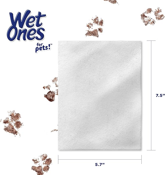 Wet Ones for Pets Extra Gentle Dog Wipes with Witch Hazel for Snout, Eye, Ear - Fragrance-Free Wipes with Wet Lock Seal, 30 Count (Pack of 2)