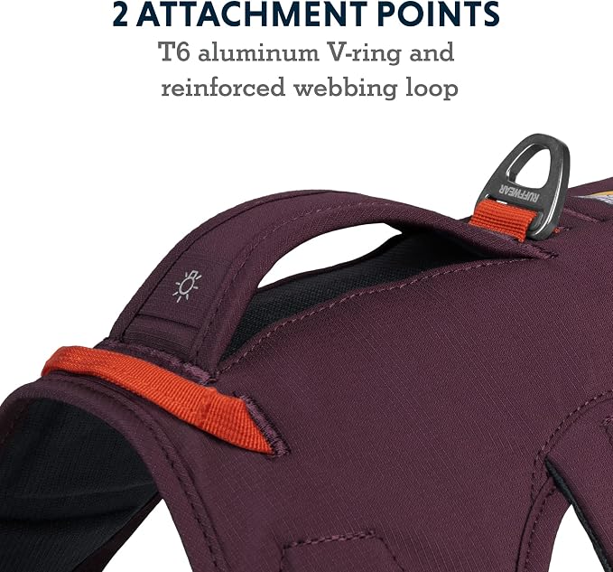 Ruffwear, Web Master, Multi-Use Support Dog Harness, Hiking and Trail Running, Service and Working, Everyday Wear, Purple Rain, XX-Small