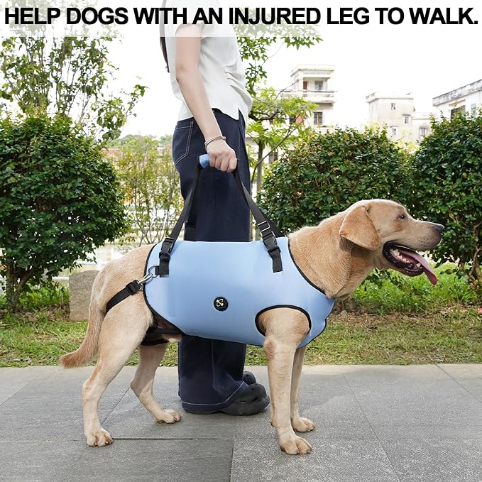 Coodeo Dog Lift Harness, Pet Support & Rehabilitation Sling Lift Adjustable Padded Breathable Straps for Old, Disabled, Joint Injuries, Arthritis, Loss of Stability Dogs Walk (Blue, M)