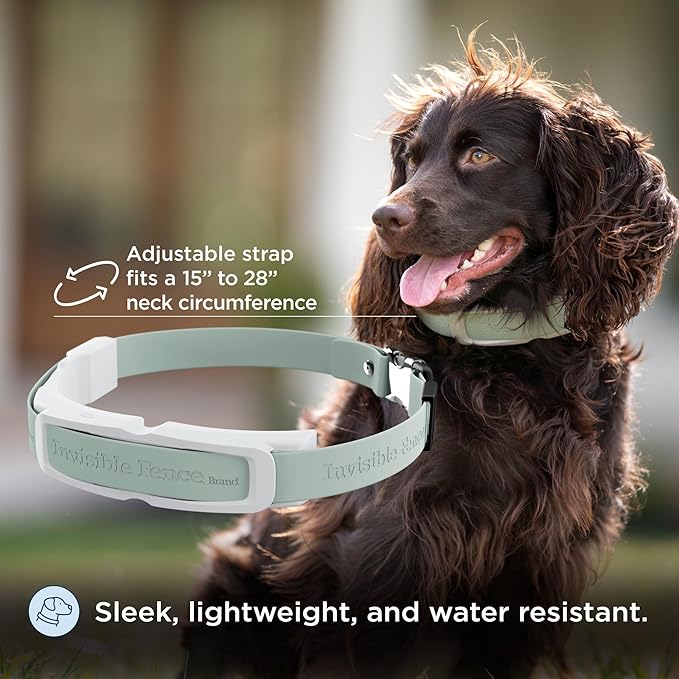 PetSafe Invisible Fence GPS Dog Fence & Tracking Collar Bundle - Wireless GPS Tracker Collar with Red Training Flags & Treat Bag - Waterproof - Medium & Large Dogs - 1 Year Subscription Included