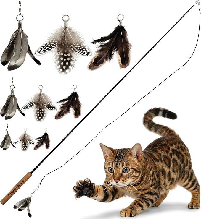 Forever Stick and 9 Cat Feather Toy Refills - The Unbreakable Cat Wand Toy, Durable Cat Toy Wand, Extra Long Cat String Toy, Cat Fishing Pole Toy for Bored Indoor Adult Cats, Cat Stick Toy