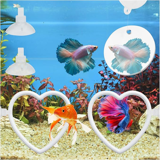 2 Pcs Betta Fish Exercise Love Ring & Betta Mirror, Betta Enrichment Toys, Betta Fish Tank Accessories, Betta Fish Toysfor Training, Play