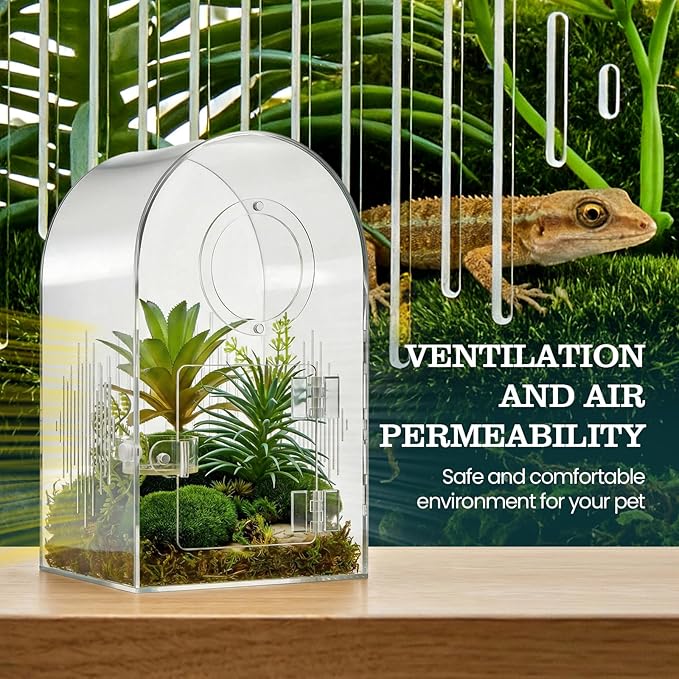 Acrylic Jumping Spider Enclosure, Clear Spider Enclosure Kit with Ventilation, Pre-Assembled Habitat for Jumping Spiders, Tarantula, Mantis, Insects