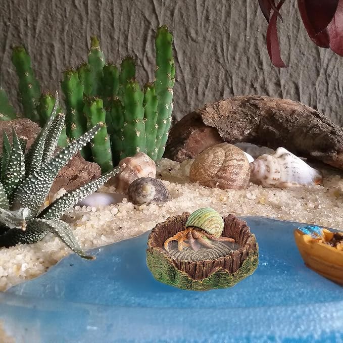 Bearded Dragon Food Bowl Small Reptile Water Dish, 2 Pack Reptile Bowl Feeding Large Food Bowls Water Dish for Hermit Crab Leopard Gecko Frog Tortoise Bearded Dragon Lizardtank Feeding(3 * 3 * 1in)