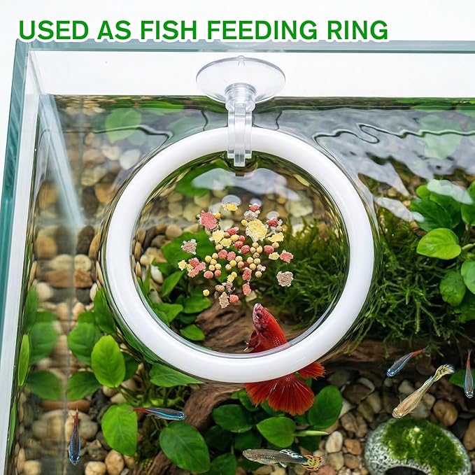 3Pcs Betta Fish Exercise Ring and Mirror Set 1 Mirror with Floating Ball 2 Exercise Training Rings Toy Betta Ring Enrichment Toys Floating Mirrors Balls Resting Spot Fishing Tank Accessories for Fish