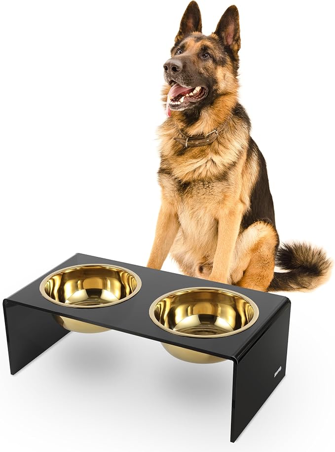 DBL2001B Keaton 7.5" Medium/Large Modern Lucite Rectangular Elevated Pet Feeder with 54oz 2-Stainless Steel Bowls, Black/Gold