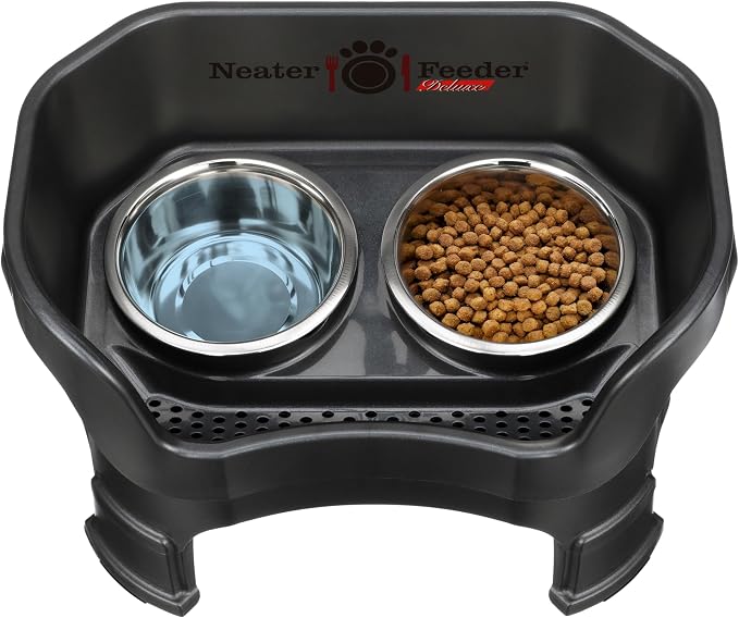 Neater Feeder Deluxe Mess-Proof Elevated Dog Bowls for Medium Dogs (19–40 lbs), 2 Height Adjustable (10” & 12.5”) No-Spill Raised Dog Bowl Stand, Stainless Steel Food Bowl Set, Made in USA, Black
