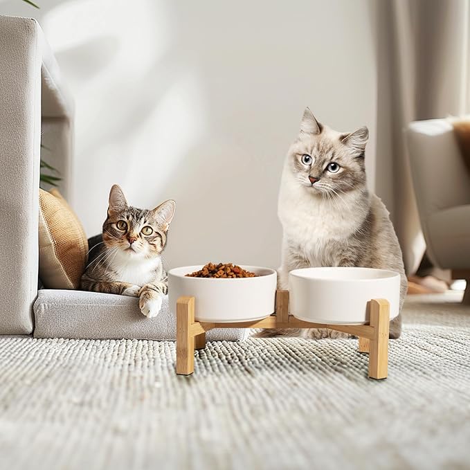 Elevated Ceramic Dog Bowl Set - Raised Feeding Bowls with Non-Slip Bamboo Stand - Small Pet Dishes for Food and Water - Ideal for Cats and Puppies - 16.23 OZ - 2 Cups - 480 ML | 5.1'' Double Dog Feeding Dishes, Non-Slip Raised Dog Feeder for Cats and P...