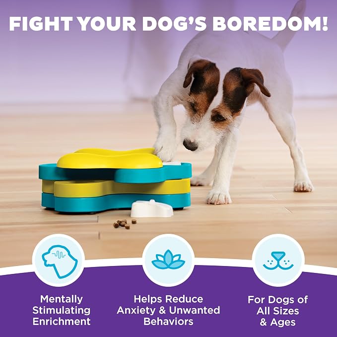 Outward Hound by Nina Ottosson Dog Tornado – Interactive Treat Puzzle Enrichment Toy, 3 Spinning Layers, Level 2 Intermediate