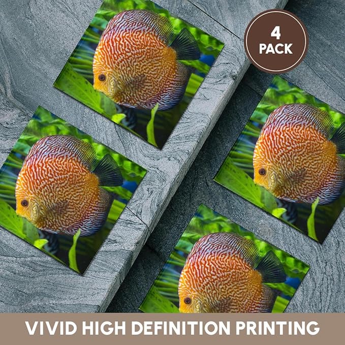 3dRose Super Pigeon Snakeskin Discus, Tropical Freshwater Fish Set of 4 Ceramic Tile Coasters
