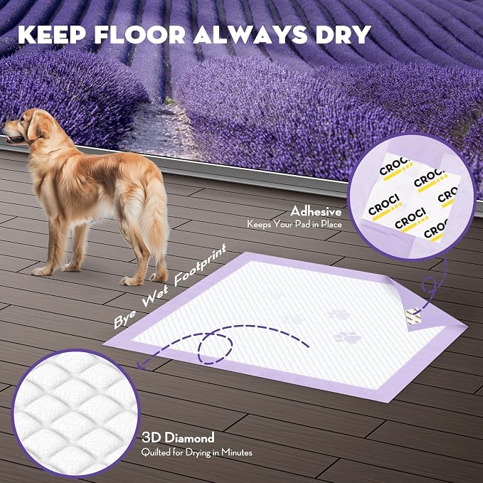 CROCI Large Puppy Pads with Adhesive Tabs Lavender Scented 30x36in 40Ct | Super Absorbent Pee Pads for Dogs Holds Up to 10 Cups of Urine, 6-Layers, Quick-Dry Surface, Leak-Proof, Disposable