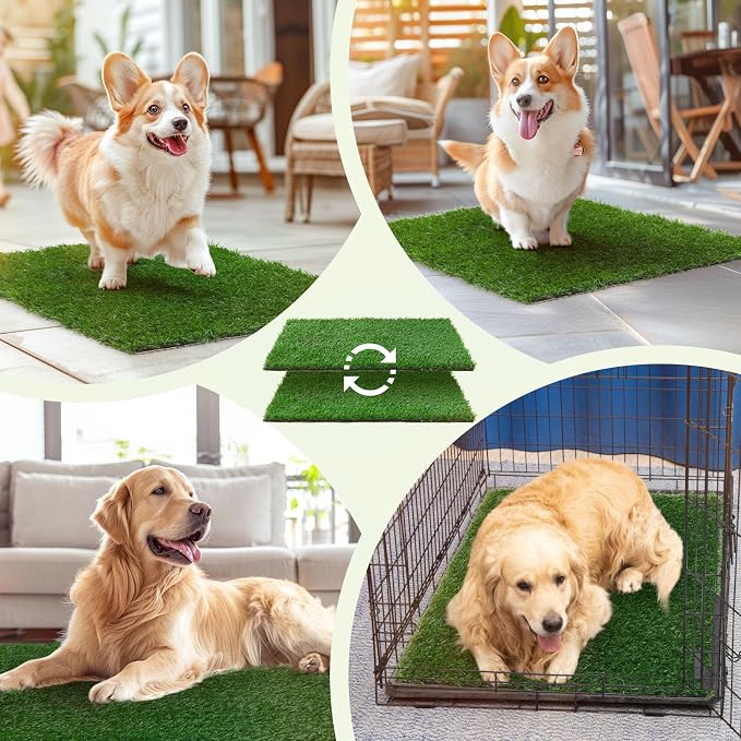 LOOBANI Dog Grass Pee Pads, 2 Pack Artificial Grass for Potty Tray, 18x23in | Replacement Turf, Pet-Friendly, Easy to Clean, Washable, Fake Grass Mat for Puppy to Pee on, Outdoor Indoor Pee Grass Patch