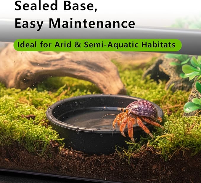 PC Small Reptile Terrarium, Tarantula Enclosure, 12.6" x 8.7" x 3.9" Clear Mini Habitat for Geckos, Hermit Crabs, Praying Mantis, Insects, Isopods, Critter Keeper