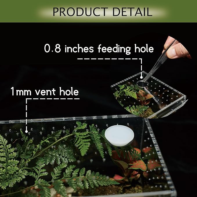 Acrylic Terrarium for Reptiles & Spiders – Small/Medium/Large Leak-Proof Enclosure (Horizontal/Vertical) | Ideal for Tarantulas, Jumping Spiders, Frogs & Geckos(Large, Vertical)