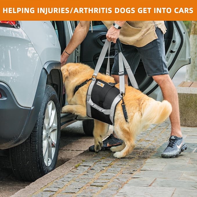 Dog Lift Harness for Large Dogs,Full Body Dog Sling Carrier, Blue, XL | Help Support Big, Elderly Pet with Arthritis, Front/Rear Legs Assistance with Handle, for Lifting Injured Dogs Up Stairs