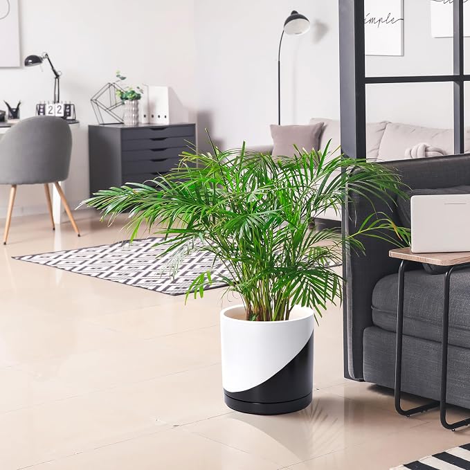 D'vine Dev 12 Inch Ceramic Planter Pot, Black White Diagonal, 94-O-F-K | Modern Cylinder Design, Drainage Hole & Saucer Included, Stable Structure, Elegant Home Accent