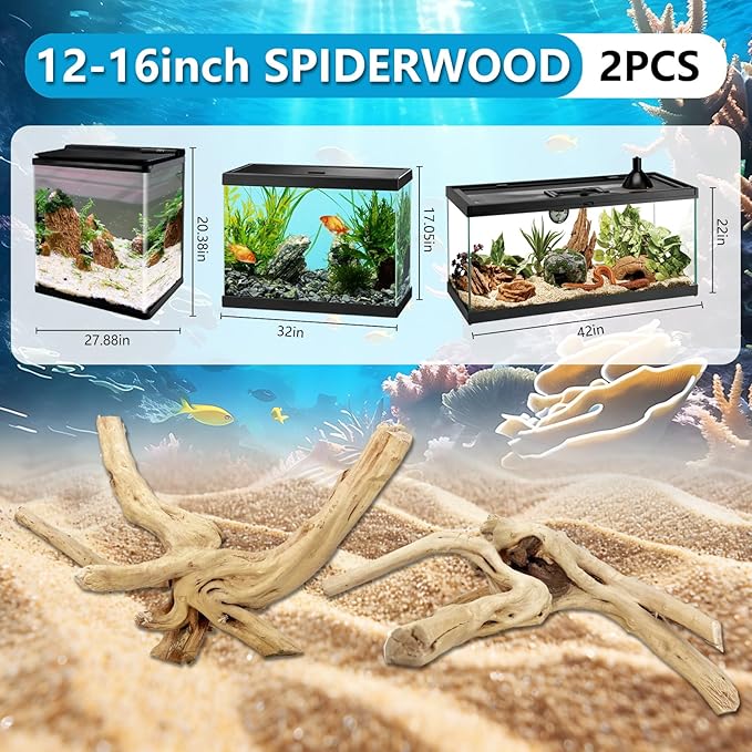 2 PCS Large Natural Spider Wood for Aquarium 12-16", Aquarium Drift Wood, Assorted Size Spider Wood, Twisted Branches Trunk for Fish Tank, Aquascaping, Reptile Climbing Branch, Terrarium Decor