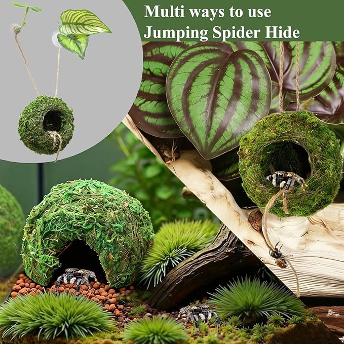 Big Jumping Spider Hide Kit, Jumping Spider Enclosures Habitat Accessories, Climbing Spiders Resting Hideout with Suction Cup Rope Bridge Leaf Ledge for Tarantula Small Insects