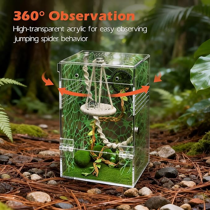 AZV Large Jumping Spider Enclosure Kit,Escape Proof Praying Mantis Habitat,Magnetic Door Arboreal Tarantula Spider Box,Complete Transparent Acrylic Beetle Terrarium,Insect Cage Bug Starter Container