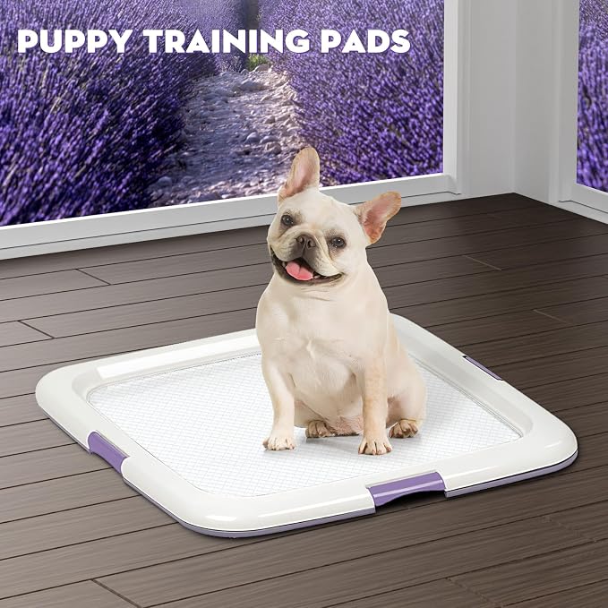 CROCI Puppy Pads with Adhesive Tabs Attractant Lavender Scent 22x22in 100Ct | Super Absorbent Pee Pads for Small Dogs Holds Up to 3 Cups of Urine, 6-Layers, Quick-Dry Surface, Leak-Proof, Disposable