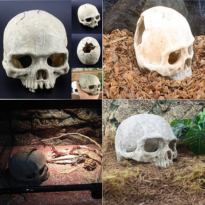 Tfwadmx 11Pcs Human Skull Decor with Plants, Snake Hide, Gecko Tank Accessories, Resin Skull with Climbing Vines Reptile Terrarium Tank Decor for Tarantulas, Lizards
