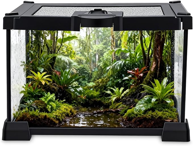 Mini Glass Terrarium Tank 8"x8"x6" with Top-Opening Mesh Lid, 360° Clear View, Ventilated Enclosure for Tarantulas, Jumping Spiders, Isopods, Froglets, & Small Reptiles