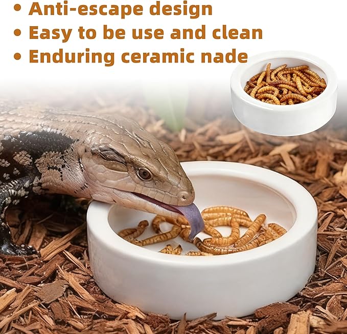 Escape-Proof Reptile Food Dish Bowl, Ceramic Reptile Feeding Dish & Small Animal Bowl for Lizard, Leopard Gecko, Hermit Crab, Hamster, Anti Escape Live Food & Water Dish (3x1in) 2PCS