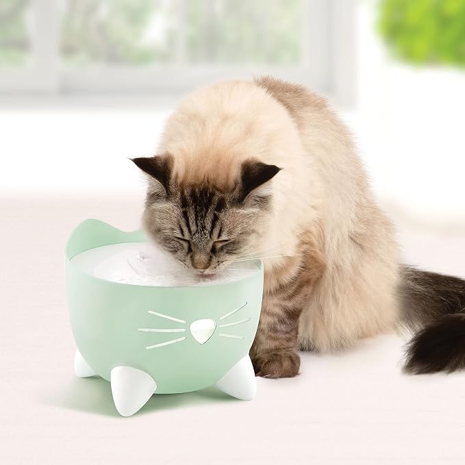 Catit PIXI Drinking Fountain, Green | Cat Water Fountain with Triple Filter and Ergonomic Drinking Options