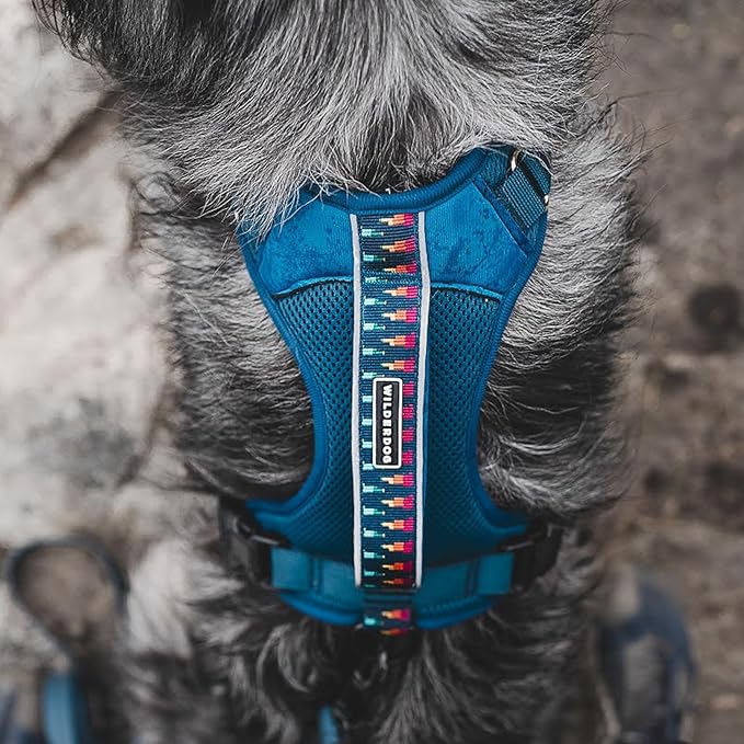 Wilderdog Lightweight Dog Harness with Reflective Straps - Small - Pacific Blue