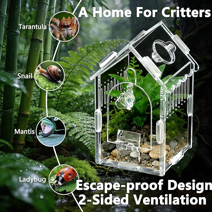 House-Shaped Acrylic Insect Terrarium & Reptile Habitat Kit - Multi-Purpose Bug Enclosure for Jumping Spiders, Praying Mantises & Frogs - Clear Acrylic Insect Cage with Ventilation, Easy Maintenance