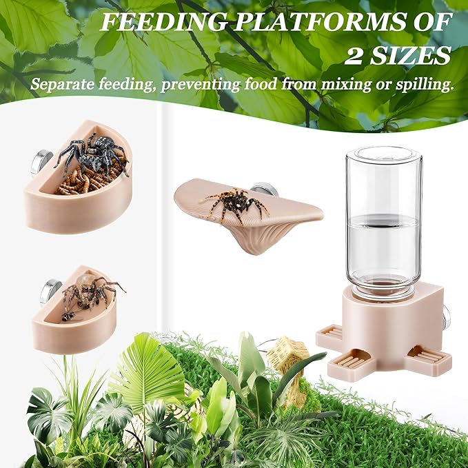 6 Pcs Jumping Spider Accessories, Mushroom Ledges & Feeding Dish and Water Dispenser, Magnets Jumping Spider Enclosure/Habitat Decor for Small Animals, Geckos, Tarantulas