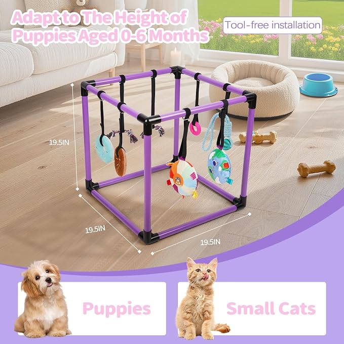 Liitrton Puppy Play Gym for Small Dogs with 8 Hanging Toys, Purple | 19.5"x19.5"x19.5" PVC Frame, Indoor Puppy Jungle Gym with Interactive Puppies Toys