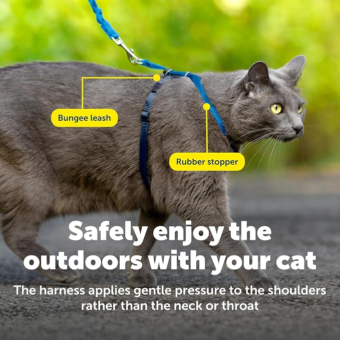 PetSafe Come with Me Kitty Harness and Bungee Cat Leash, Royal Blue, Medium | Adjustable 2-Point Fit Applies Gentle Pressure to Shoulders, Not Neck, for Small & Average Cats with 10.5 in - 14 in Girth
