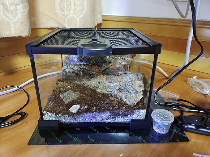 AWXZOM Mini Reptile Glass Terrarium Tank, cage for Tarantula Sling Geckos, Frog, Lizards, Chameleons,Turtles Snake Snail Insect Hermit Crab Isopods Reptiles Enclosure (7.9x7.9x5.7inch)