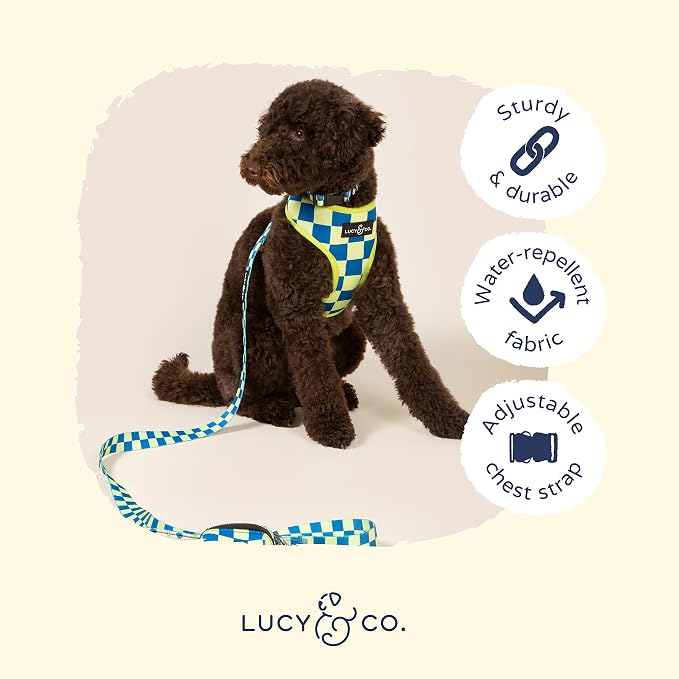 Lucy & Co. Reversible Dog Harness - Water-Repellent Neoprene, Dual-Print Design, Easy Swap Style, Adjustable Comfort Fit - Have a Nice Day Reversible Harness - X-Large