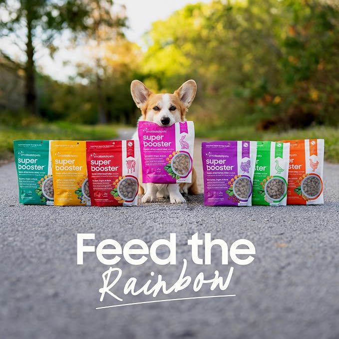 smallbatch Freeze Dried Dog Treats, Superfood Food Topper Beef Bites for Dogs & Cats, Probiotics, Organic Ingredients, High Protein, Grain Free Healthy Treat Food Topper, Made in the USA, 7 oz Bag