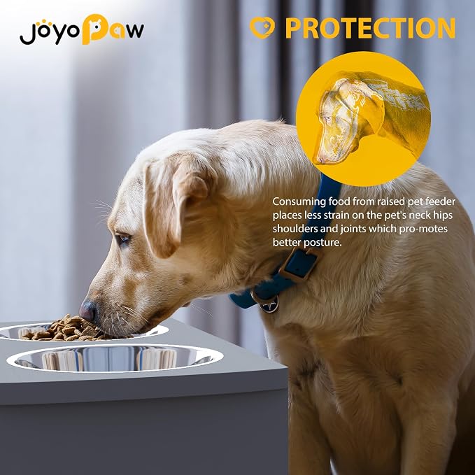 Elevated Dog Bowls, Bamboo Raised Dog Bowl for Large Dogs & Medium Dogs, with 2 Stainless Steel Bowls (10'' Tall–48 oz Bowl, Grey)