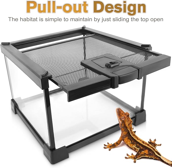 12"x8"x8" Reptile Terrarium, Escape-Proof Glass Terrestrial Vivarium for Hatchling Snakes Such as Corn Snakes, with Escape-Proof Lock & Feeding Hatch