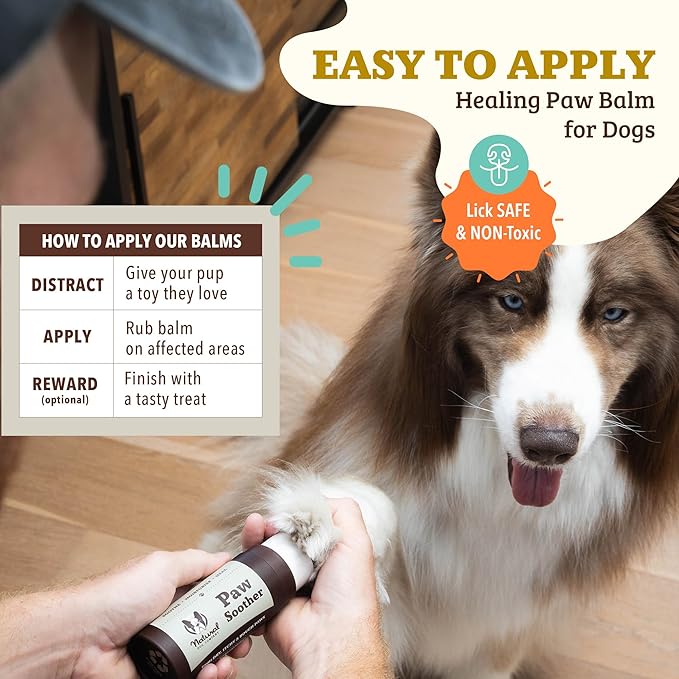 Natural Dog Company Paw Soother Balm & Wax - Dog Paw Balm & Moisturizer for Dry, Cracked Paw Pads, Helps Moisturize & Condition Worn Paws, Coconut Oil & Calendula, Daily Paw Care, 2 oz Stick