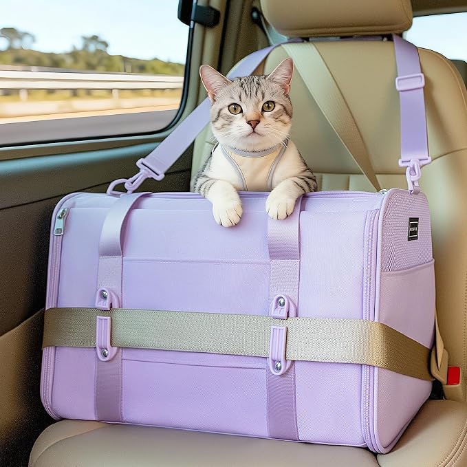 PETSFIT Large Cat Carrier with Patented Safety Buckles,Big Cats Up to 20 lb | Secure Carrier for Safe Driving, Lockable Zippers, Safety Tether, Travel Pet Carrier for Trips & Vet Visits, 19 x 12 x 12
