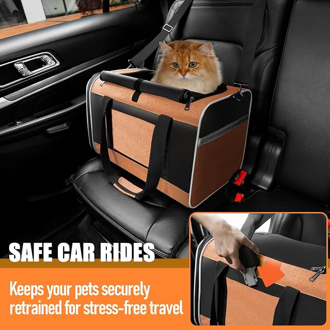 GAPZER Large Cat Carrier Soft, Collapsible Travel Pet Carry Bag, Small Dogs | Large Kitty Cat 20 lbs Maine Coon, Top Load Transport Small Puppy Dog Kennel, Yorkie Little Dog 10lbs, Sturdy Fabric Orange