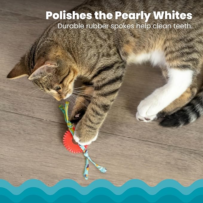 Petstages Fresh Breath Mint Stick Dental Cat Chew Toy & Dental Kitty Chew Wheel Catnip Cat Toy