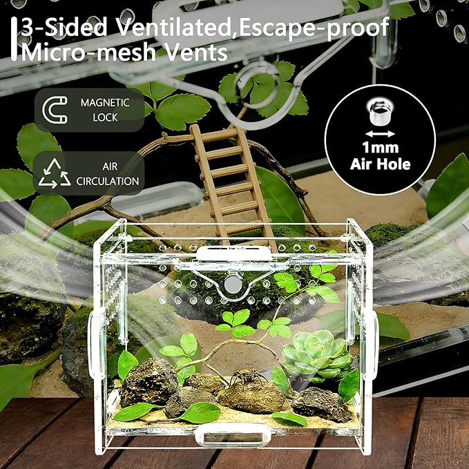 Small Acrylic Insect Terrarium - Mini Bug Enclosure for Jumping Spiders, Praying Mantises & Tiny Frogs - Clear Acrylic Cage with 1mm Ventilation Holes, Easy Maintenance