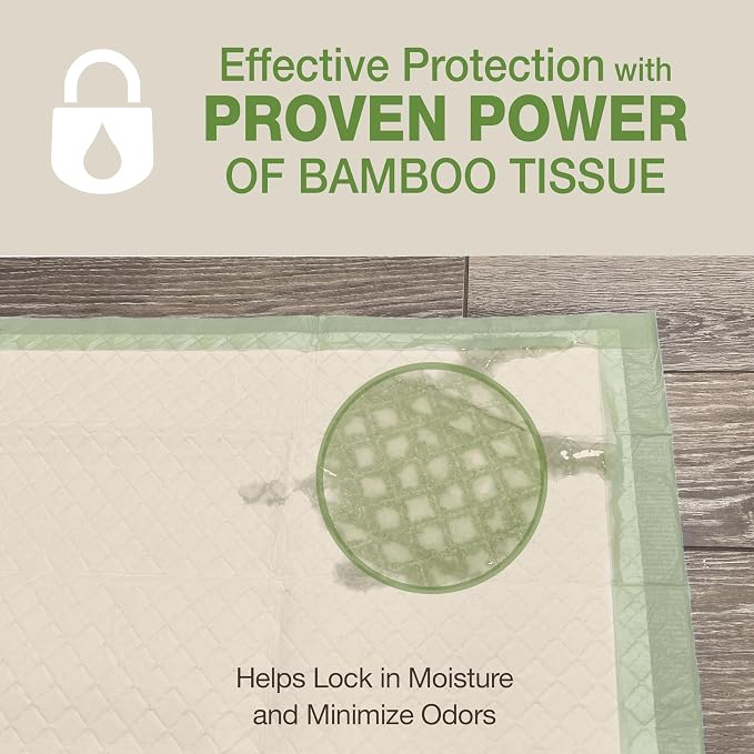 Four Paws Wee-Wee Superior Performance Eco Bamboo Dog Pee Pads, 100 Count | Earth friendly, bleach-free, dye-free, dog & puppy potty training pads, leak-proof, 24-hour protection pee pads, 22" x 23"