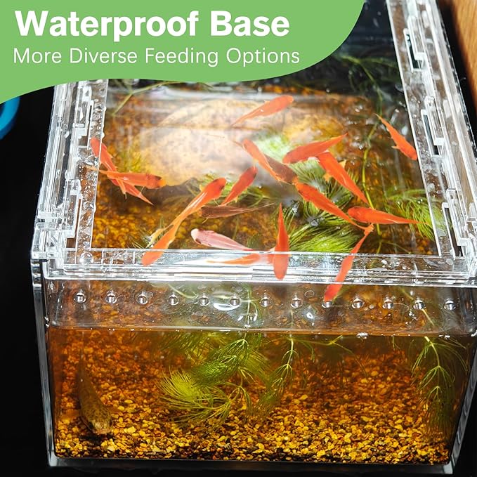 Reptile Terrarium Enclosure 8"x6"x4" Acrylic Tarantula Breeding Box Magnetic Hermit Crab Habitat Transparent Jumping Spider Cage for Insect Snail Amphibians Sling Isopods