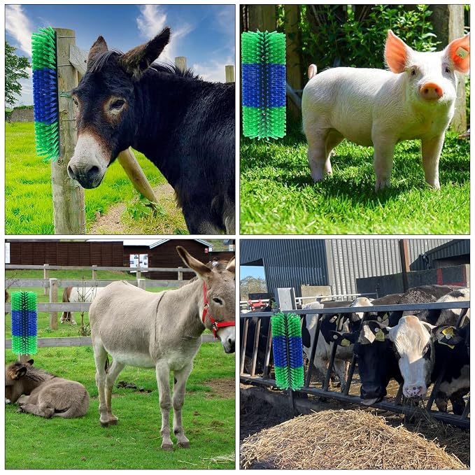 4PCS Livestock Scratching Brush Goat Scratching Tool Post Massage Grooming Brush with 8 Screws for Animals Back Scratcher Itch Brushes for Cattle, Sheep, Horses, Pigs,Cow(4, Green)