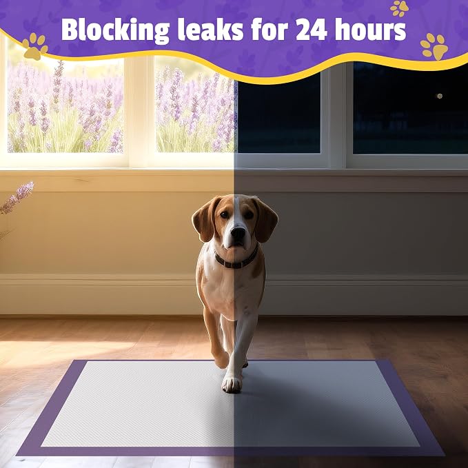 Boscute Lavender Scented Thicken 6 Layers Heavy Absorbent 30"x36" Pet Training Dog Pee Pads, Extra Large Polymer Leak-Proof Quick Dry Puppy Pee Pads, Disposable Pee Pads for Dogs Cats Rabbit 150Counts | Heavy Absorbent up to 7 Cups, Quick Dry, for Dogs...