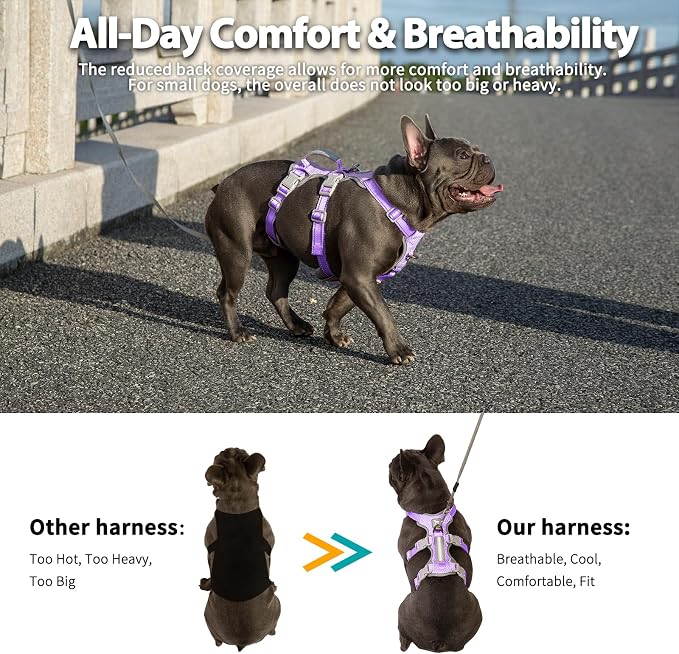 Escape Proof Dog Harness,Secure Dog Harness No Escape,Fully Reflective Harness with Handle,Breathable,Durable,Adjustable Vest for Small Dogs Walking,Training & Running Gear(Lavender Purple,XS)
