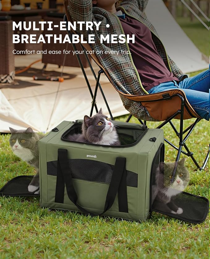 Pecute Cat Carrier Stable, Pet Carrier with Privacy Partition,Green | Safe For Car Travel, Stable Steel Frame, Soft-Sided Pet Carrier Bag For Dogs And Cats Up To 11lbs, Foldable Design.